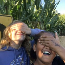 The Maize at The Pumpkin Patch - And fun card to do