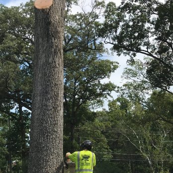 Halls Tree Service - Tree Services Near Me Halls Tree Service - Tree Services Near Me
