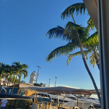 Coconuts - View - Seafood Near Me - Fort Lauderdale, Florida