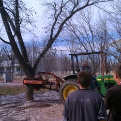 Summer Place Pecan Farm - Pecan picking by shaking the tree