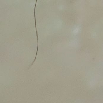 Hilton Phoenix Tapatio Cliffs Resort - Hair in shower/tub. - Hotels Near Me - Phoenix, Arizona