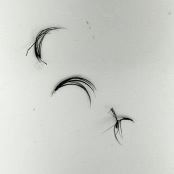 Trish's Lashes - Clumps of fake lashes in my sink. - Hair Salons Near Me - La Quinta, California Trish's Lashes - Clumps of fake lashes in my sink. - Hair Salons Near Me - La Quinta, California