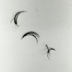 Trish's Lashes - Clumps of fake lashes in my sink.