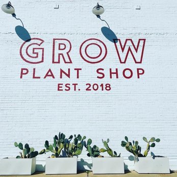 Grow Plant Shop - Nurseries & Gardening Near Me - Fort Worth, Texas Grow Plant Shop - Nurseries & Gardening Near Me - Fort Worth, Texas