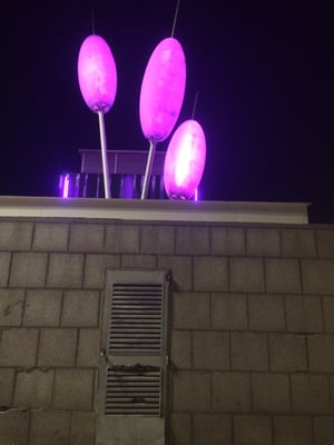 Opium Barcelona Restaurant and Club by null