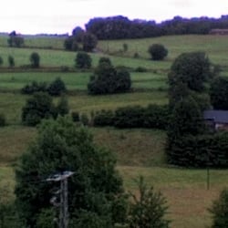 Gasthof Schöne Aussicht - Ausblick vom Fenster in die Natur.