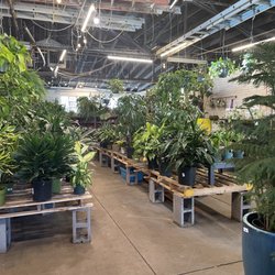 Redbud Garden Center - Main area.