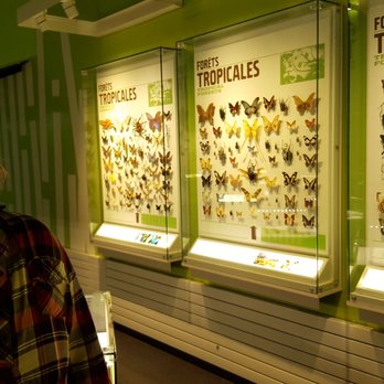 Insectarium de Montréal - Museums Near Me - Montreal, Quebec Insectarium de Montréal - Museums Near Me - Montreal, Quebec