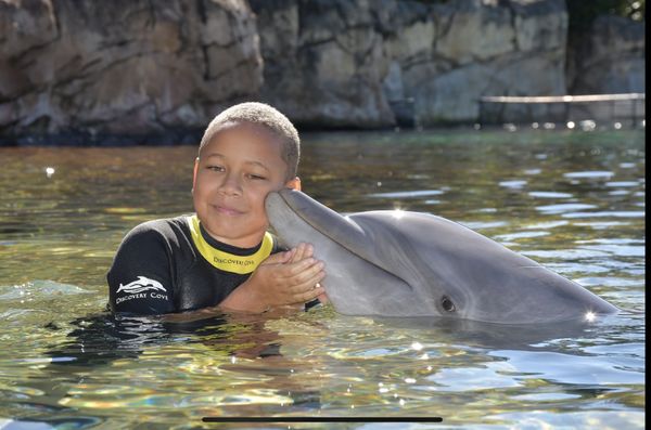 Discovery Cove by null