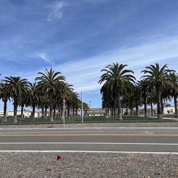 Great Park - Nice palm tree grass area - Parks Near Me - Irvine, California Great Park - Nice palm tree grass area - Parks Near Me - Irvine, California
