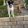 Photo of Pooppi