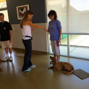 Dog Sense - The APPROACH. So important. #1 on the test for the CGC (Canine Good Citizenship for AKC) - Pet Training Near Me Dog Sense - The APPROACH. So important. #1 on the test for the CGC (Canine Good Citizenship for AKC) - Pet Training Near Me