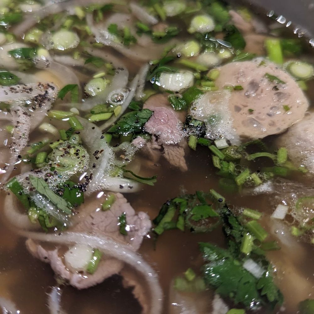 Lua Vietnamese Cuisine - Close up of Pho Lua - Vietnamese Near Me - Edison, New Jersey Lua Vietnamese Cuisine - Close up of Pho Lua - Vietnamese Near Me - Edison, New Jersey
