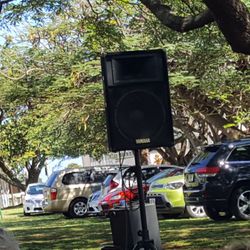 Picnic for Poki - Small area you can park on grass