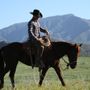 Photo of Joel Sheridan Horsemanship Services