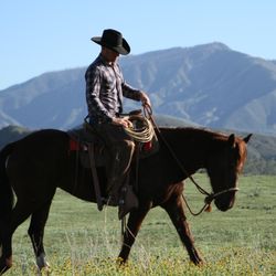 Joel Sheridan Horsemanship Services - No hour of life is wasted that is spent in the saddle. - Winston Churchill