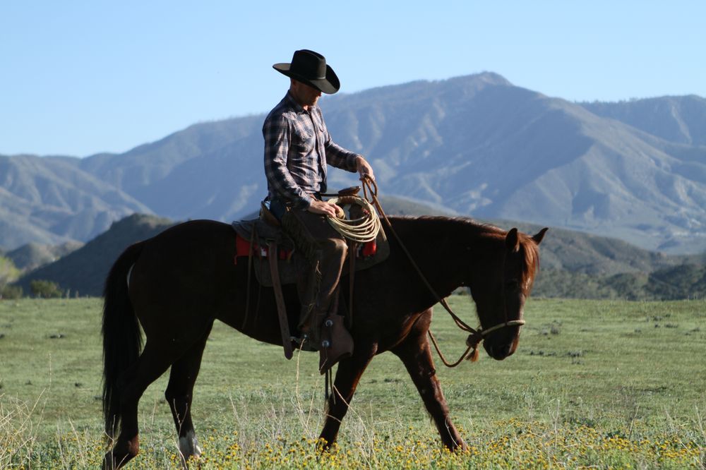 Joel Sheridan Horsemanship Services Logo