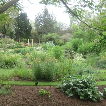 Chelsea Physic Garden - Botanical Gardens Near Me - London, XGL Chelsea Physic Garden - Botanical Gardens Near Me - London, XGL