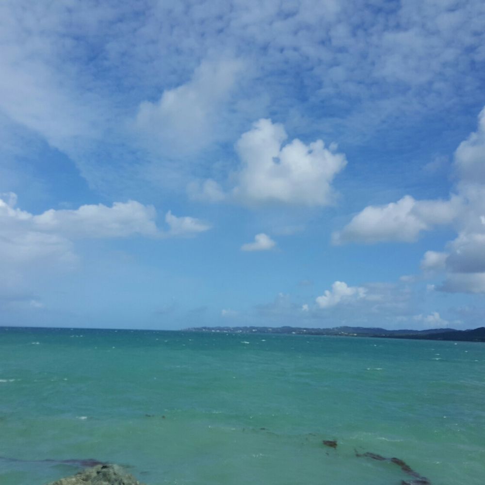 Mosquito Pier - Snorkeling Near Me - Vieques, Puerto Rico