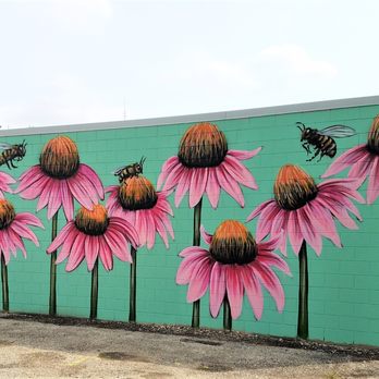 Cone Flower mural - Cone Flowers by Jules MuckRock Muck 2019 - Public Art Near Me - Indianapolis, Indiana Cone Flower mural - Cone Flowers by Jules MuckRock Muck 2019 - Public Art Near Me - Indianapolis, Indiana