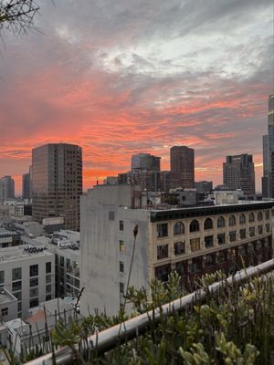 Bar Clara by null Bar Clara by null