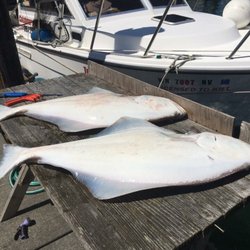 Catchmore Charters