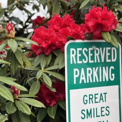 Great Smile Dental