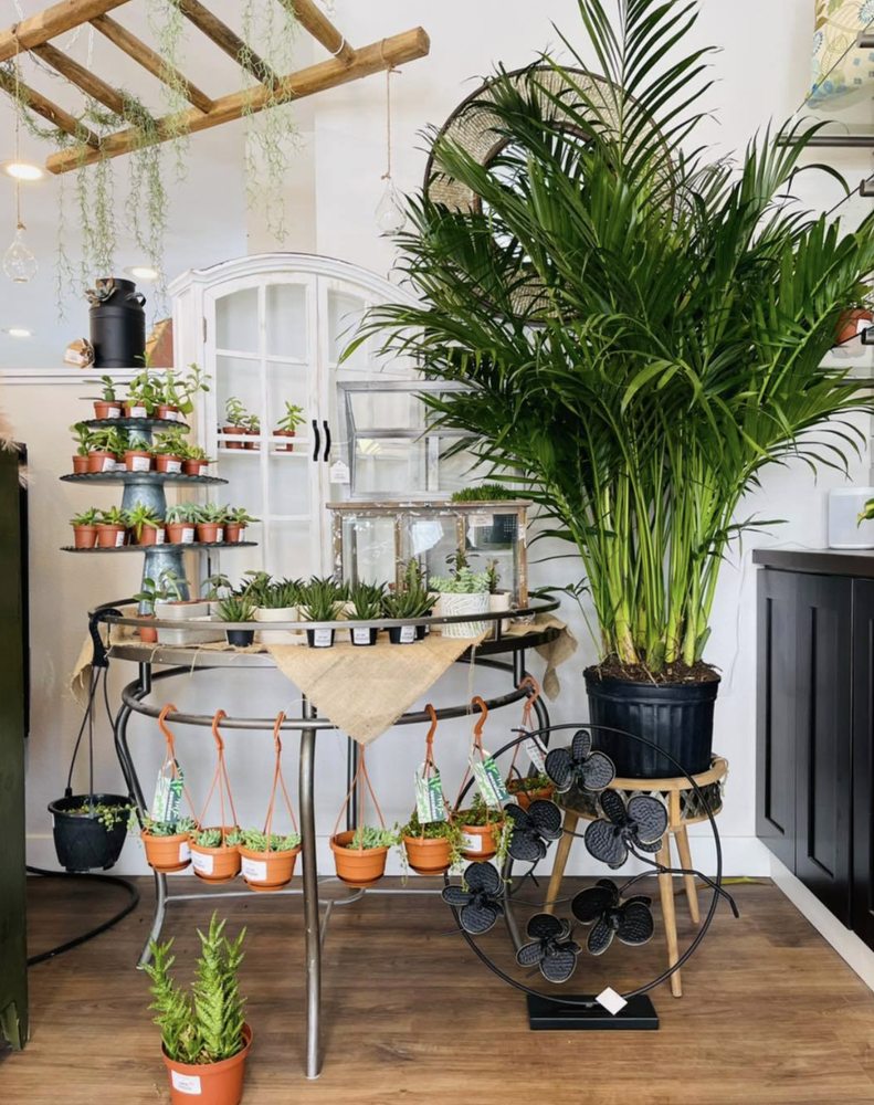 SHEYWEST Updated September 2024 52 Photos 225 40th Ave W, West