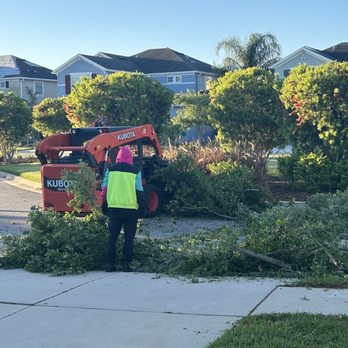 Champion Tree Care - Tree Services Near Me