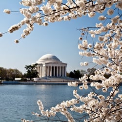 Comfort Tour Canada - Washington
