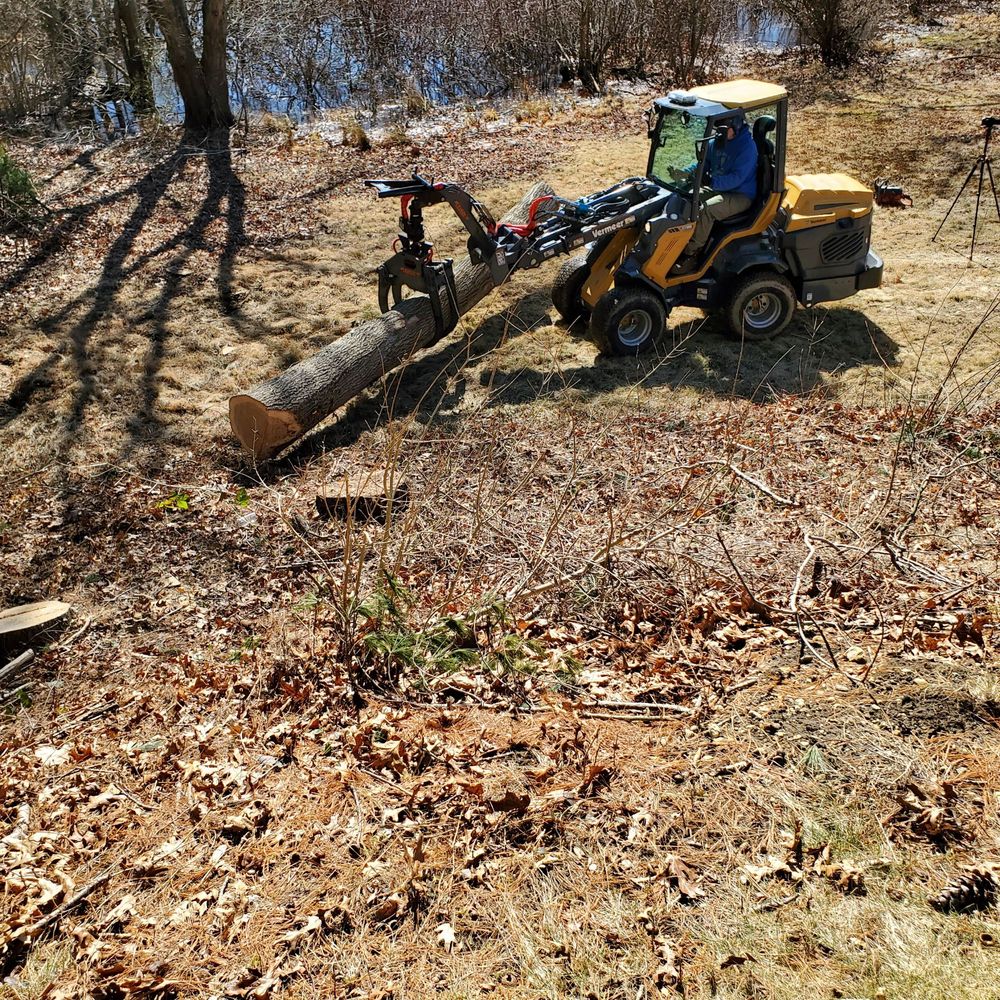 Colonial Tree Service - tree service in Kingston, MA