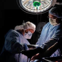 Elite Sports Medicine + Orthopedics - Dr. Burton Elrod