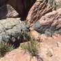 Photo of Blue Marble Adventure Geotourism