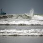 Oceanside Bait Company