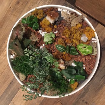 Sprout Home - West Elm display bowl filled with amazing Sprout Home finds - some small plants, decorative rocks, wood chips, preserved moss, and crystals. - Nurseries & Gardening Near Me - Chicago, Illinois Sprout Home - West Elm display bowl filled with amazing Sprout Home finds - some small plants, decorative rocks, wood chips, preserved moss, and crystals. - Nurseries & Gardening Near Me - Chicago, Illinois