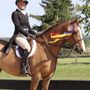Photo of Lotus Show Stables