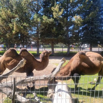 Idaho Falls Zoo - Zoos Near Me - Idaho Falls, Idaho Idaho Falls Zoo - Zoos Near Me - Idaho Falls, Idaho