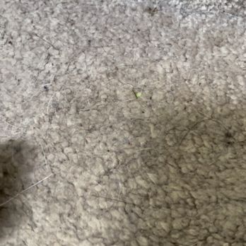 Professional Clean - This is what they call "clean", at $3 a stair!!!! (Zoom in) - Carpet Cleaning Near Me - Streetsboro, Ohio Professional Clean - This is what they call "clean", at $3 a stair!!!! (Zoom in) - Carpet Cleaning Near Me - Streetsboro, Ohio