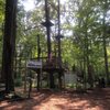 Frankenmuth Aerial Park gift card