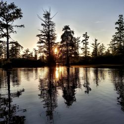 Cache Bayou Outfitters