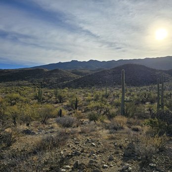 Saguaro National Park - Saguaro National Park East - Parks Near Me - Tucson, Arizona Saguaro National Park - Saguaro National Park East - Parks Near Me - Tucson, Arizona