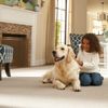 Carpet Exchange gift card