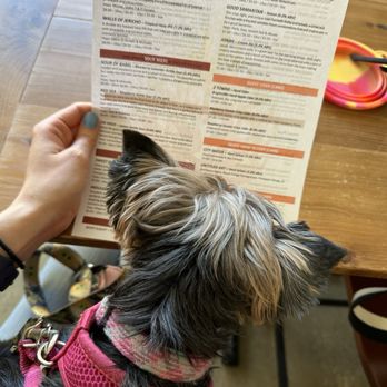 Burning Bush Brewery - Breweries Near Me - Chicago, Illinois