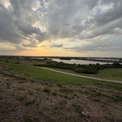 Celery Fields