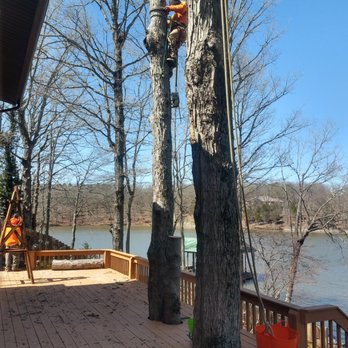 Aaron's Tree Service - Tree Services Near Me - Carbondale, Illinois Aaron's Tree Service - Tree Services Near Me - Carbondale, Illinois