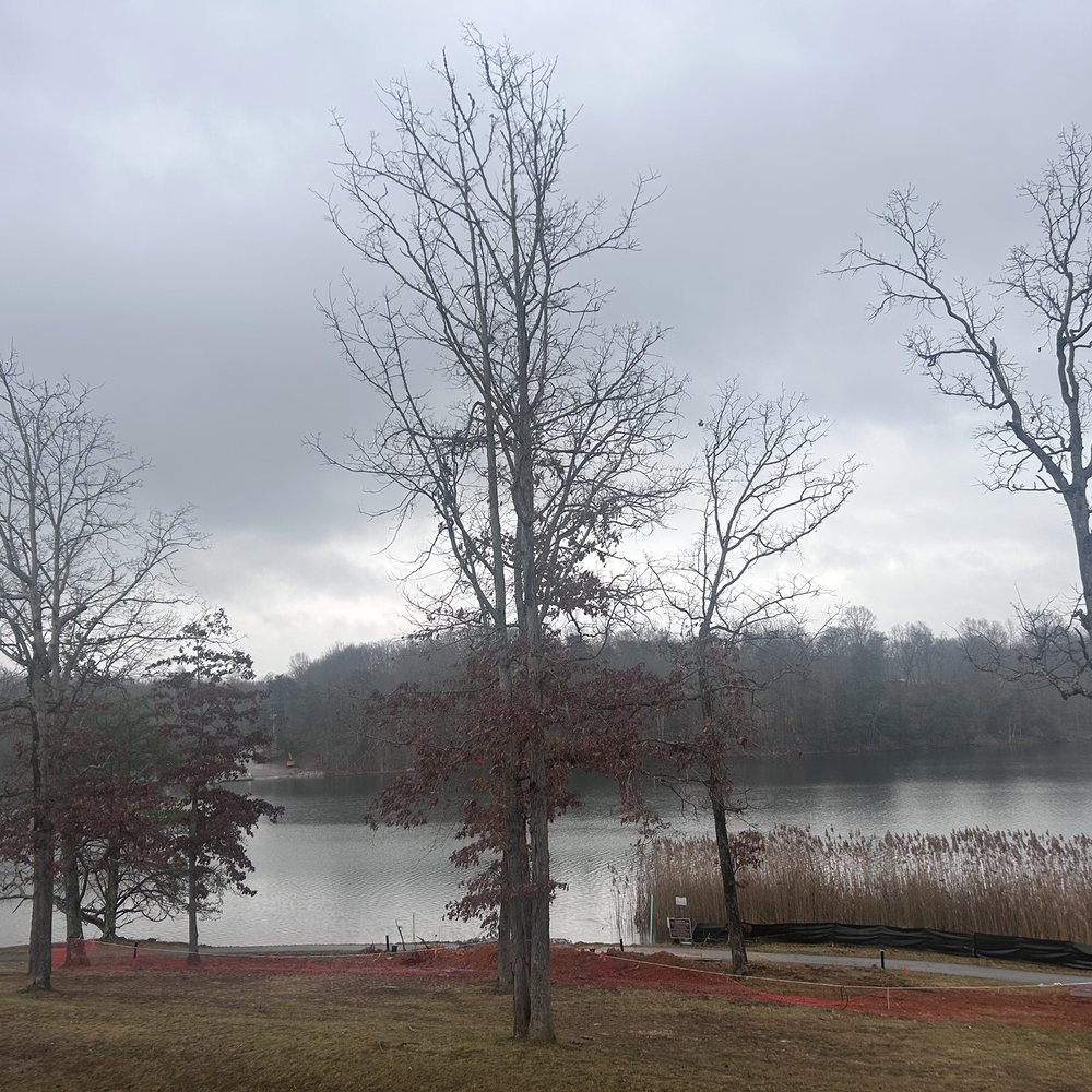 Fall Creek Falls State Park - Lakeside foggy morning - Parks Near Me - Spencer, Tennessee