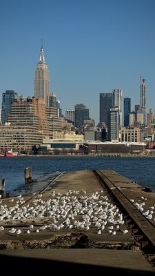 Pier 13 Hoboken by null