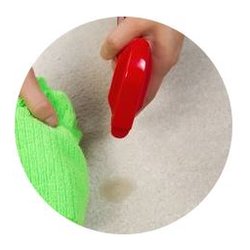 Steve's Carpet Clean Rx