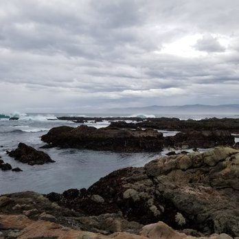 MacKerricher State Park - View from the rocks - Parks Near Me - Fort Bragg, California