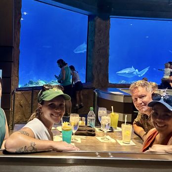 Sharks Underwater Grill - New American Near Me - Orlando, Florida Sharks Underwater Grill - New American Near Me - Orlando, Florida